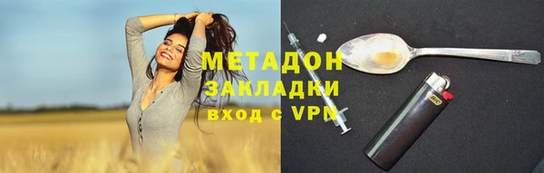 ПСИЛОЦИБИНОВЫЕ ГРИБЫ Куртамыш
